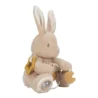 0029692_activiteitenknuffel-baby-bunny