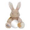 0029695_activiteitenknuffel-baby-bunny