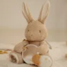 0029793_activiteitenknuffel-konijn-zand-baby-bunny