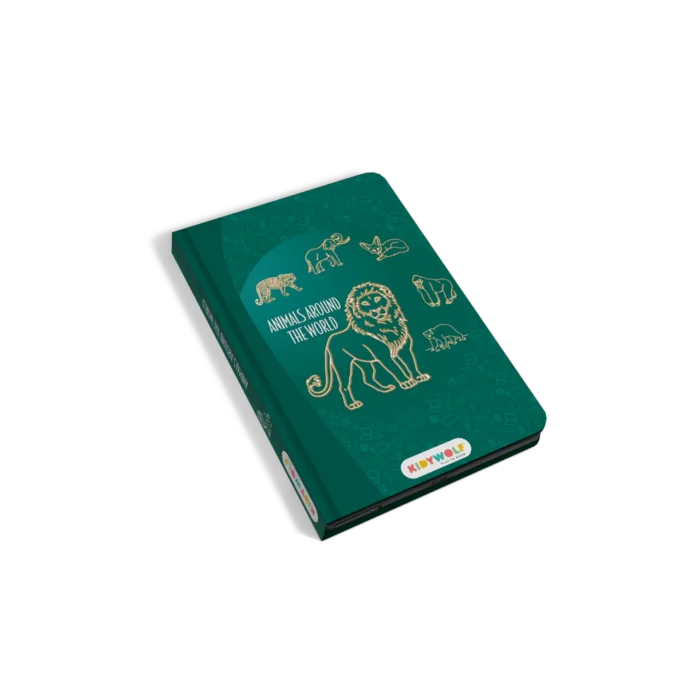 KIDYDRAWMINI-AAW-01-1800 (1)