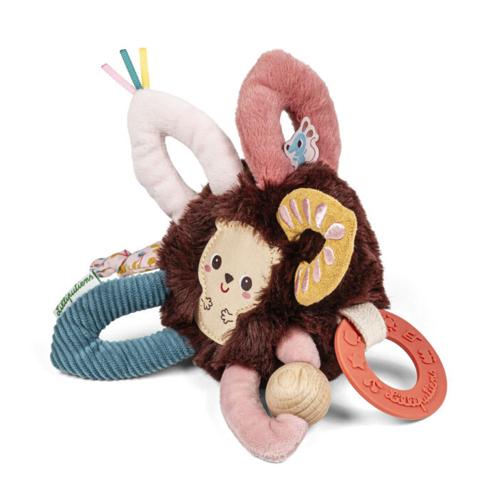 anneaux-sensoriels-leon-le-herisson (2) anneaux-sensoriels-leon-le-herisson (2)