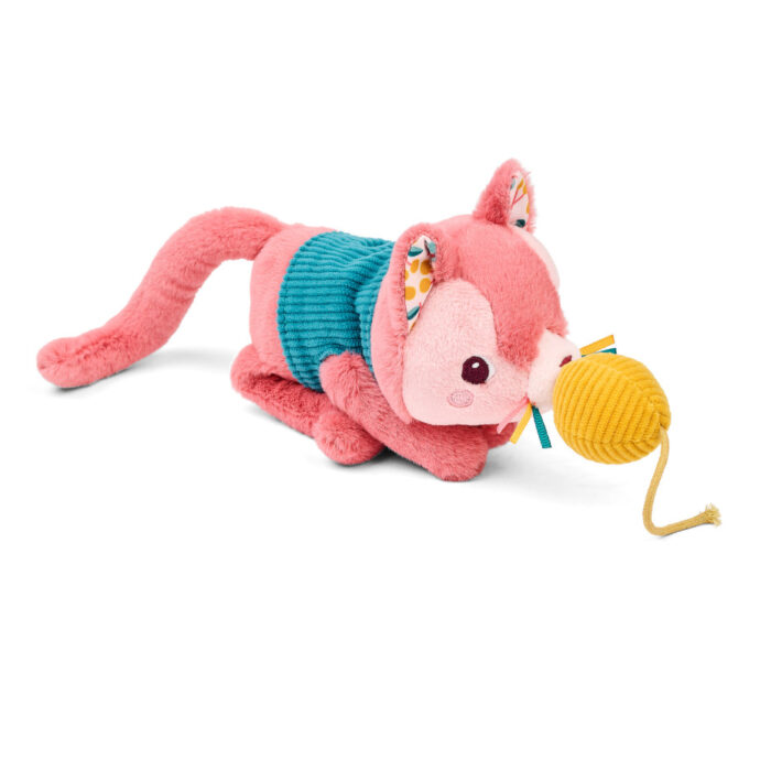 jeanne-le-chat-et-son-panier (3) jeanne-le-chat-et-son-panier (3)